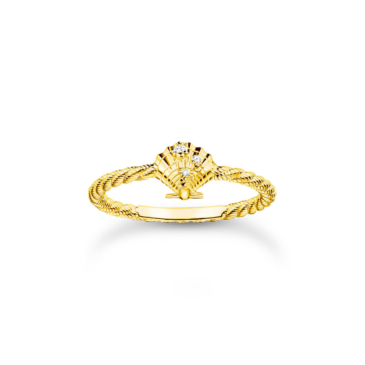 Shell and Rope Ring