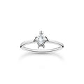 Turtle Ring With Cubic Zirconia In Silver