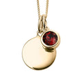 January Crystal Birthstone Gold Pendant