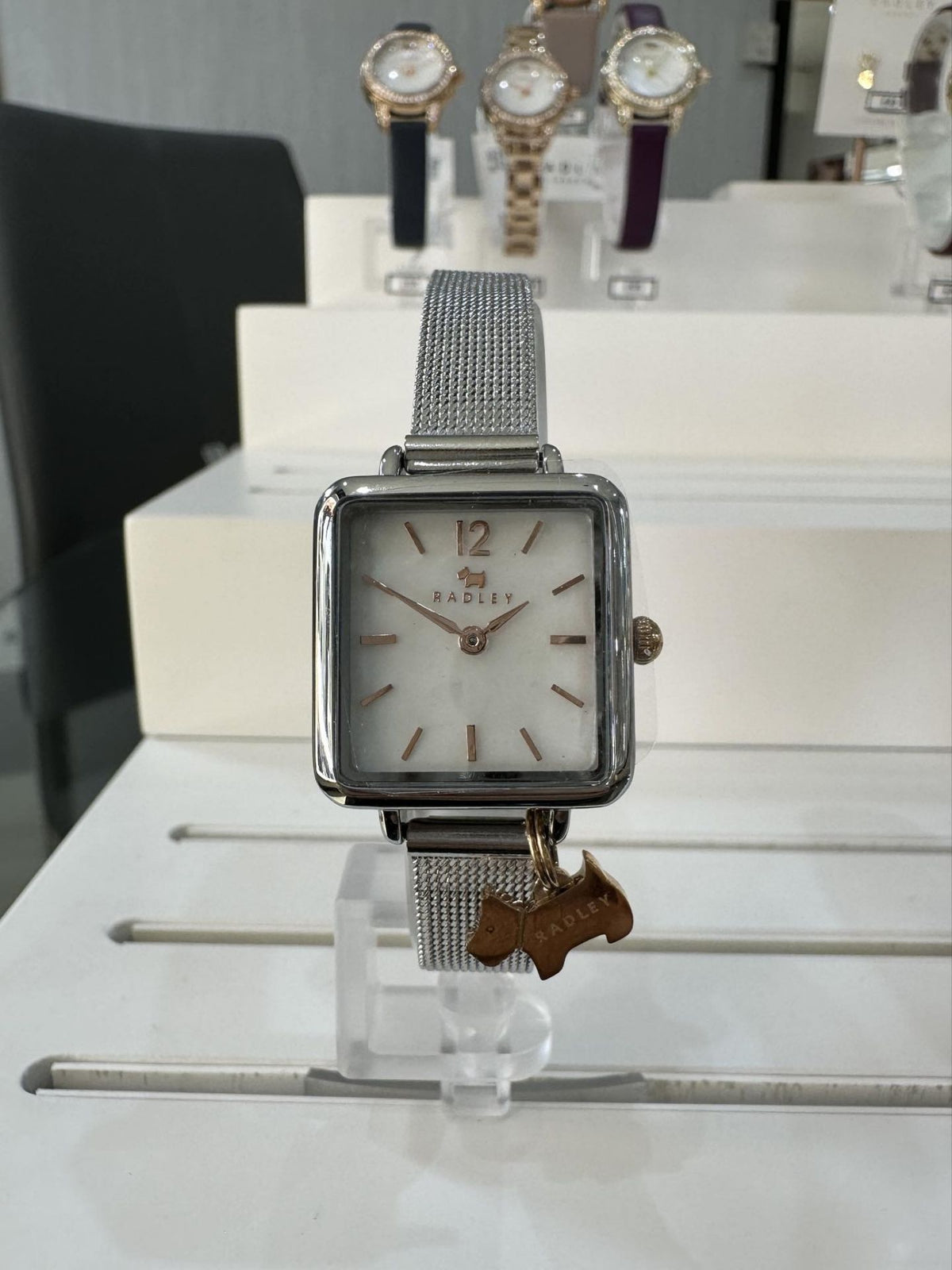 Square Ladies Radley Watch with Mesh Bracelet