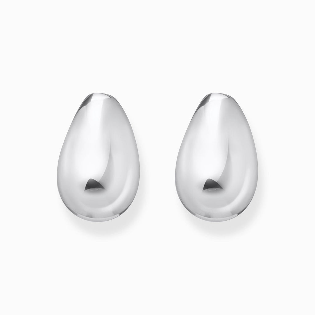 Drop Shape Silver Earrings 