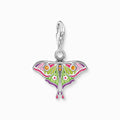 Colourful Moth Silver Charm 