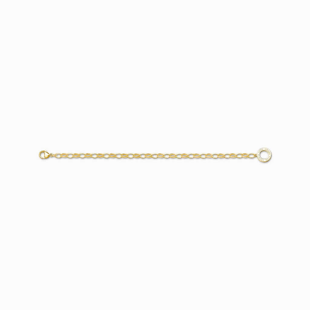 Charm Bracelet Classic Gold Plated Medium Linked 