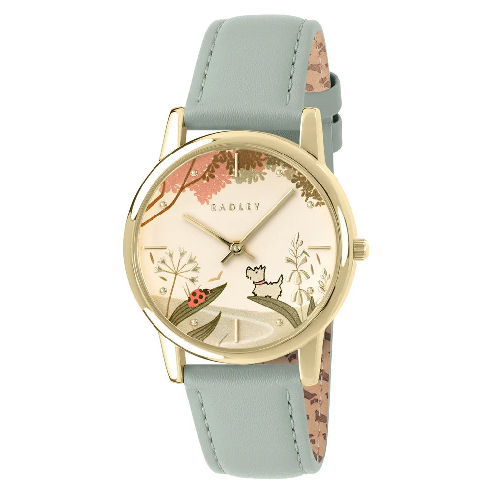 Ladybird Road Watch 